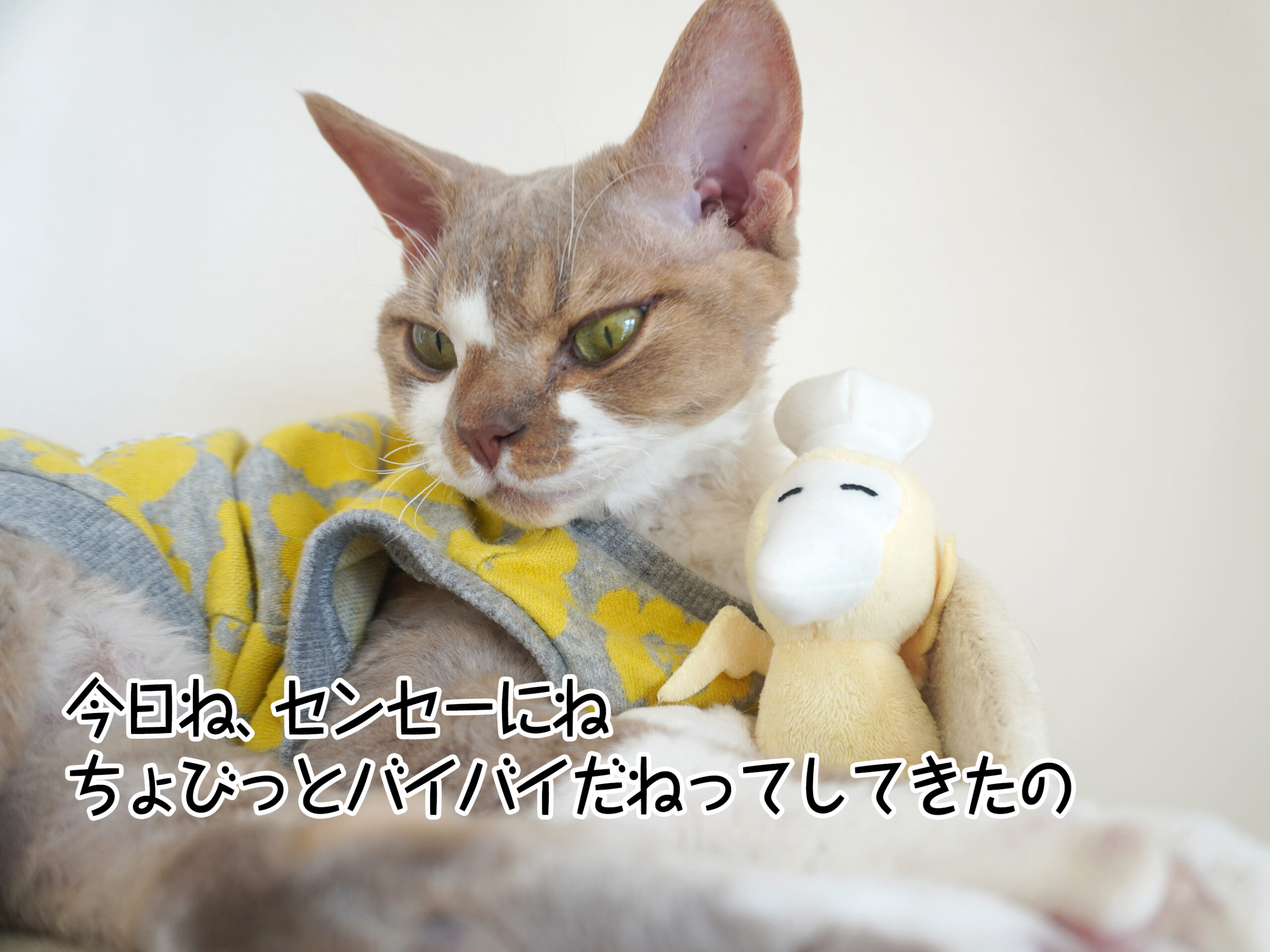 迷って後悔しても行きつく先はハッピーだから大丈夫 ～眠る前の優しい言葉～