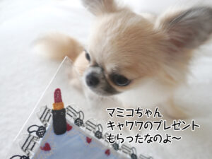 マミコちゃん キャワワのプレゼント もらったなのよ～