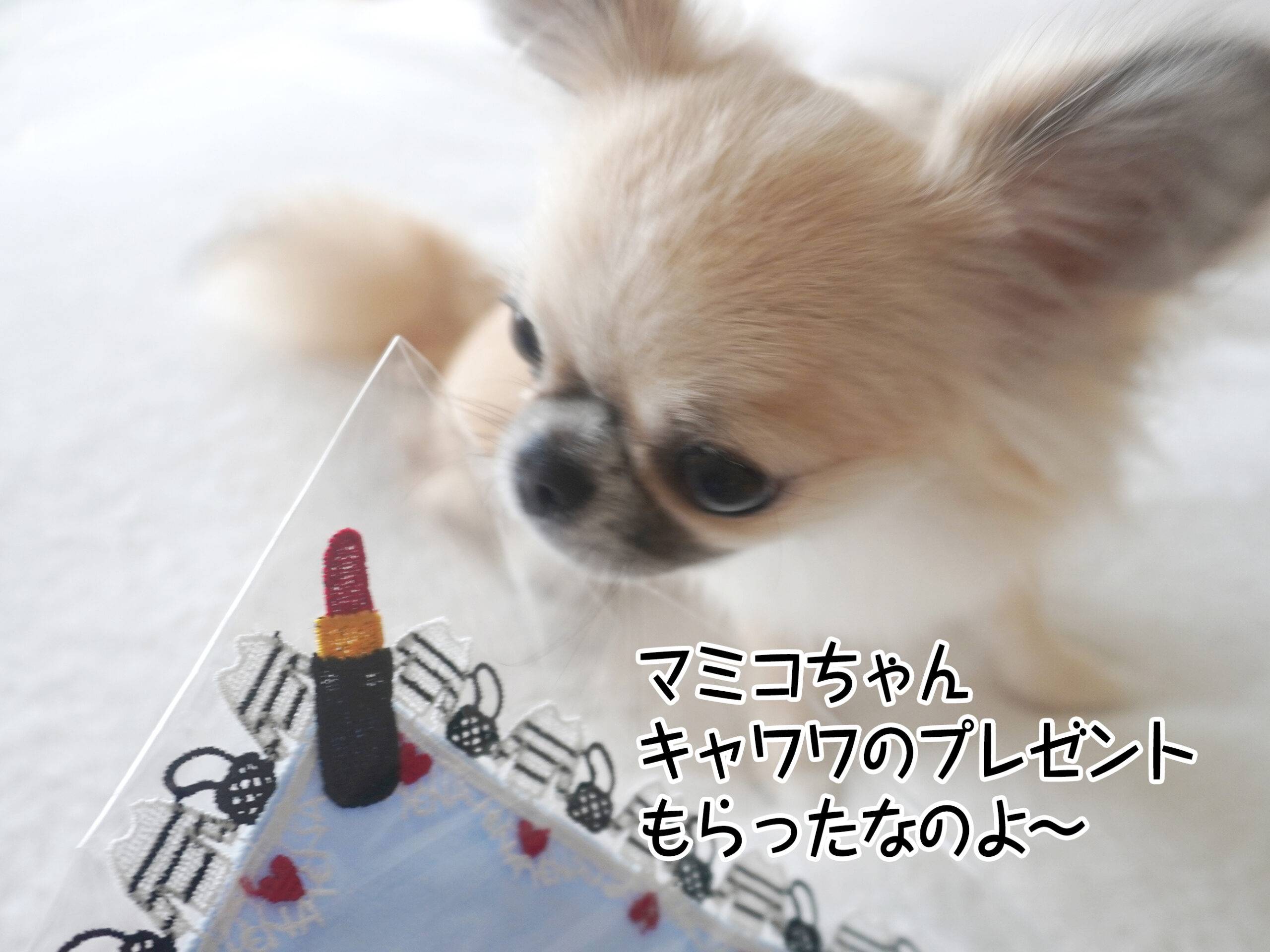 あたたかい涙をいっぱい流して受け取った愛の話 ~2魂と一緒だった日々とカウンセラーとして歩き出した時の思い出が詰まった贈り物~