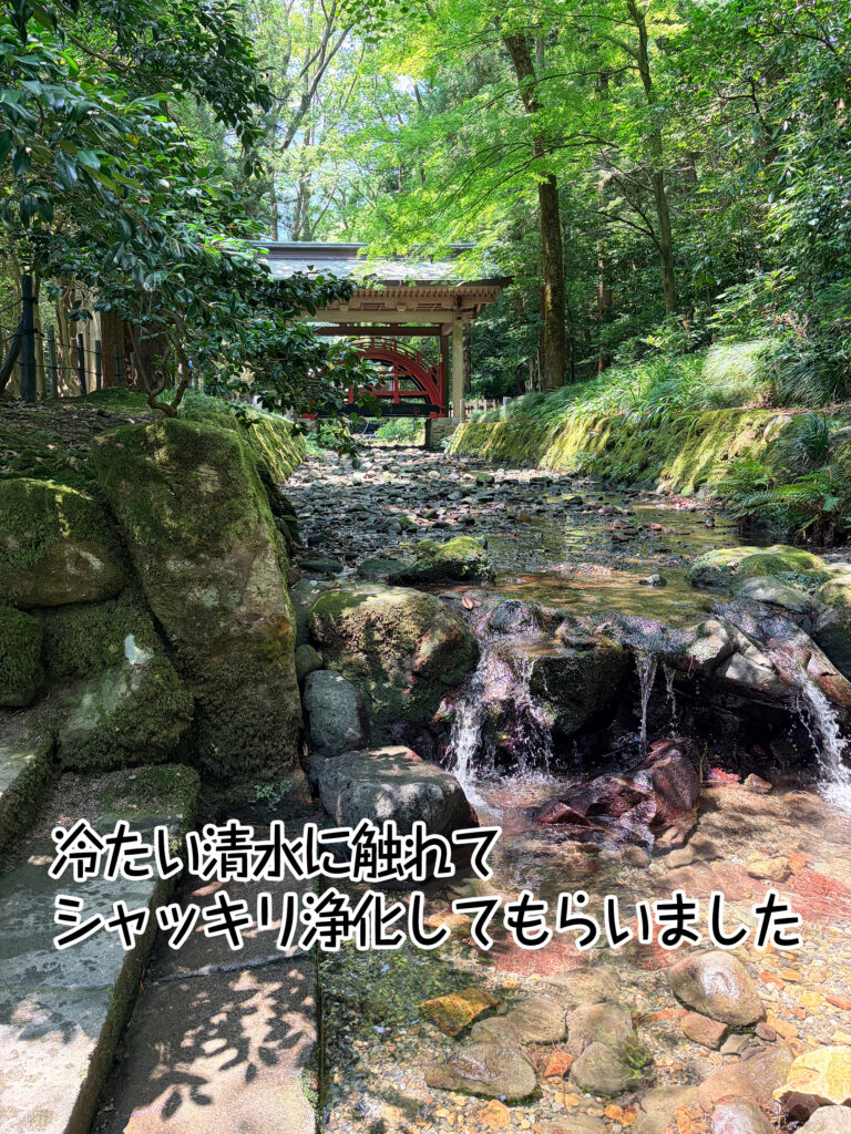 冷たい清水に触れてシャッキリ浄化してもらいました