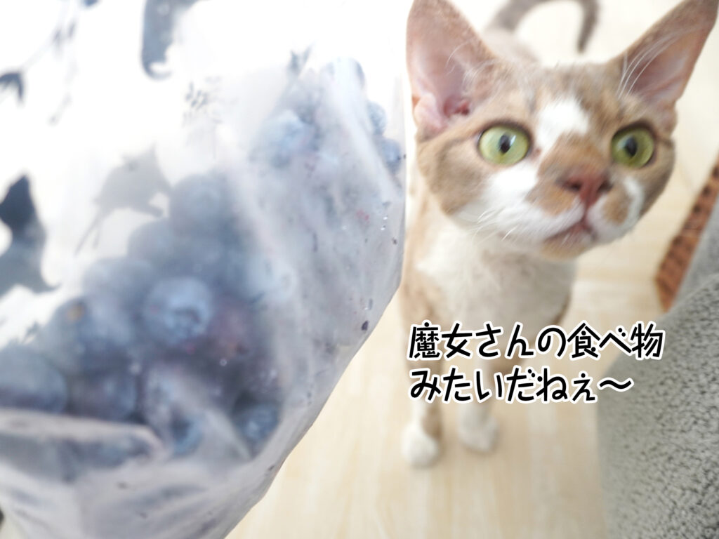 魔女さんの食べ物みたいだねぇ～