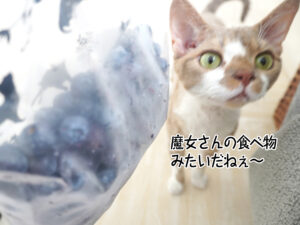 魔女さんの食べ物 みたいだねぇ～