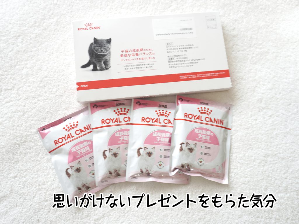 思いがけないプレゼントをもらた気分