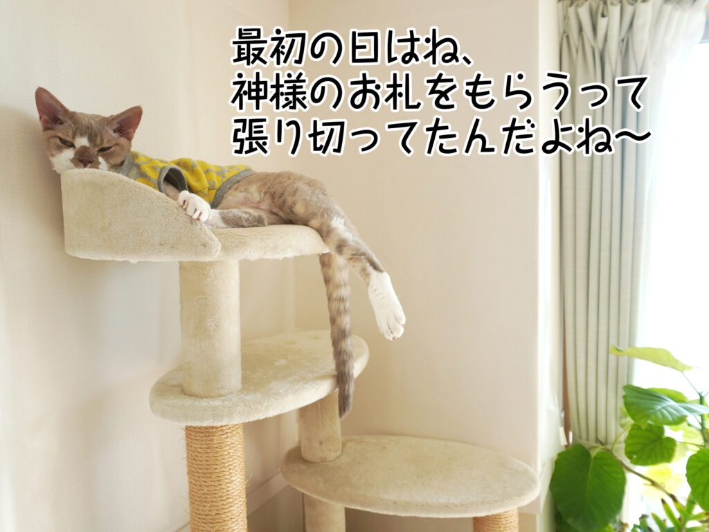 最初の日はね、神様のお札をもらうって張り切ってたんだよね~