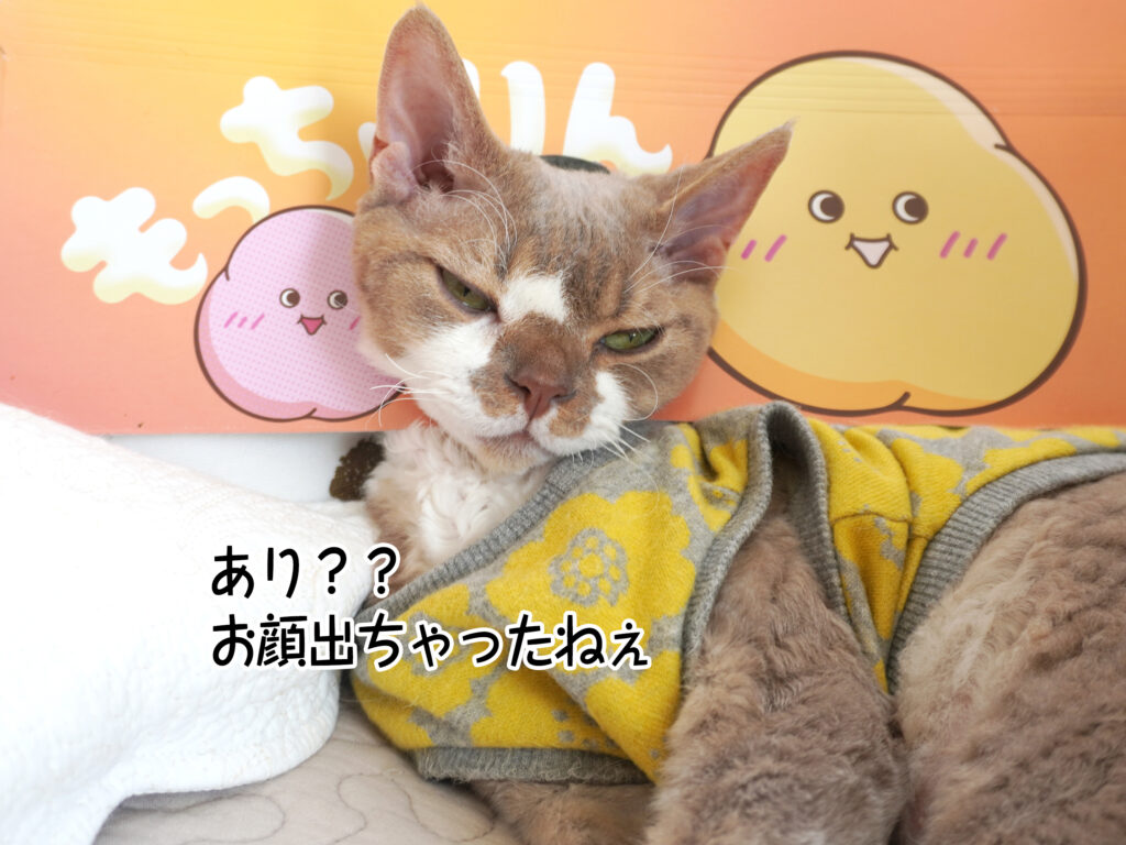 あり？？お顔出ちゃったねぇ