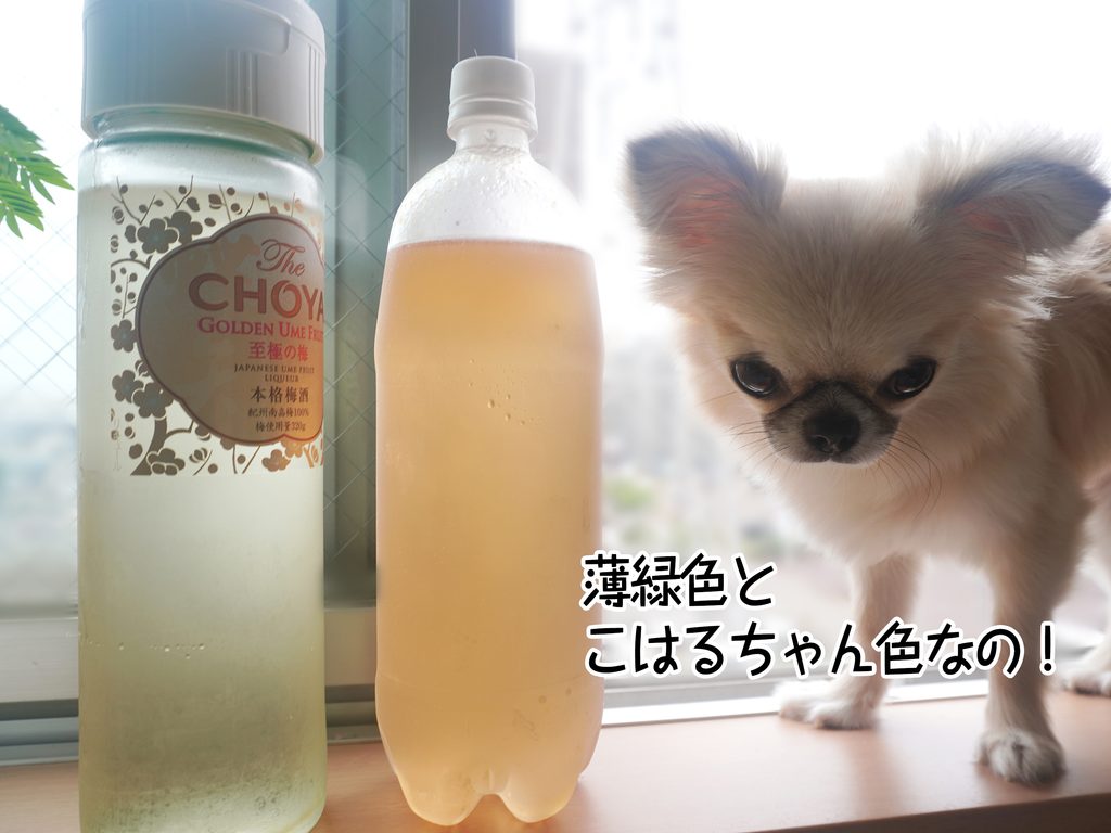 薄緑色とこはるちゃん色なの！