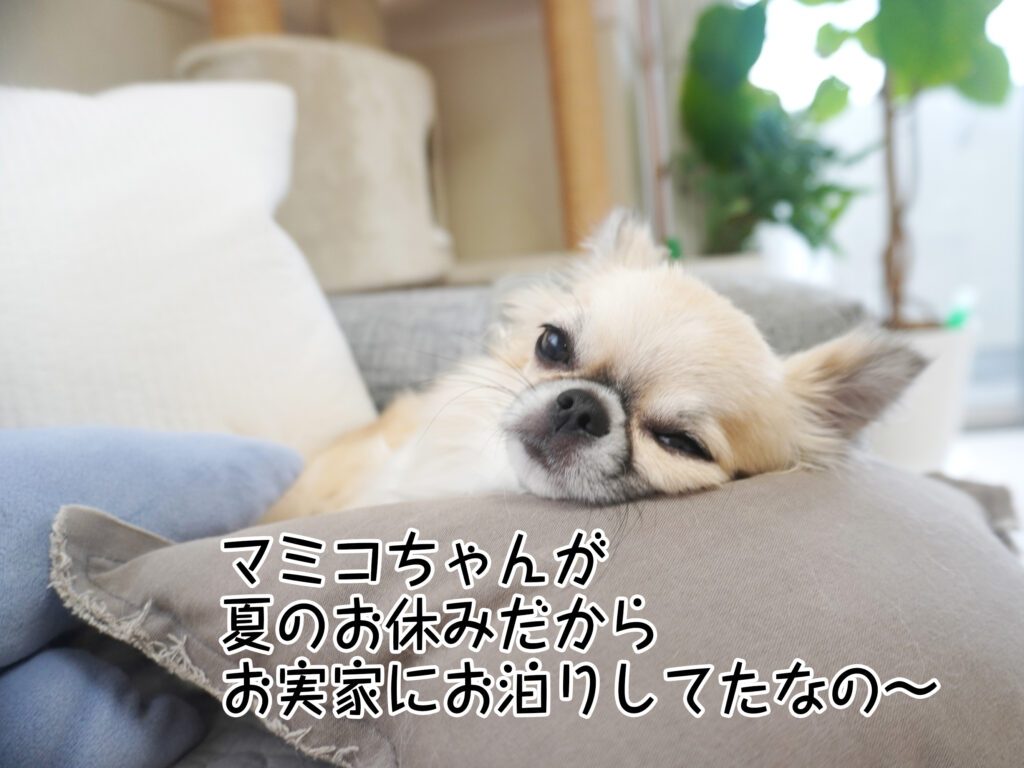 マミコちゃんが夏のお休みだからお実家にお泊りしてたなの~
