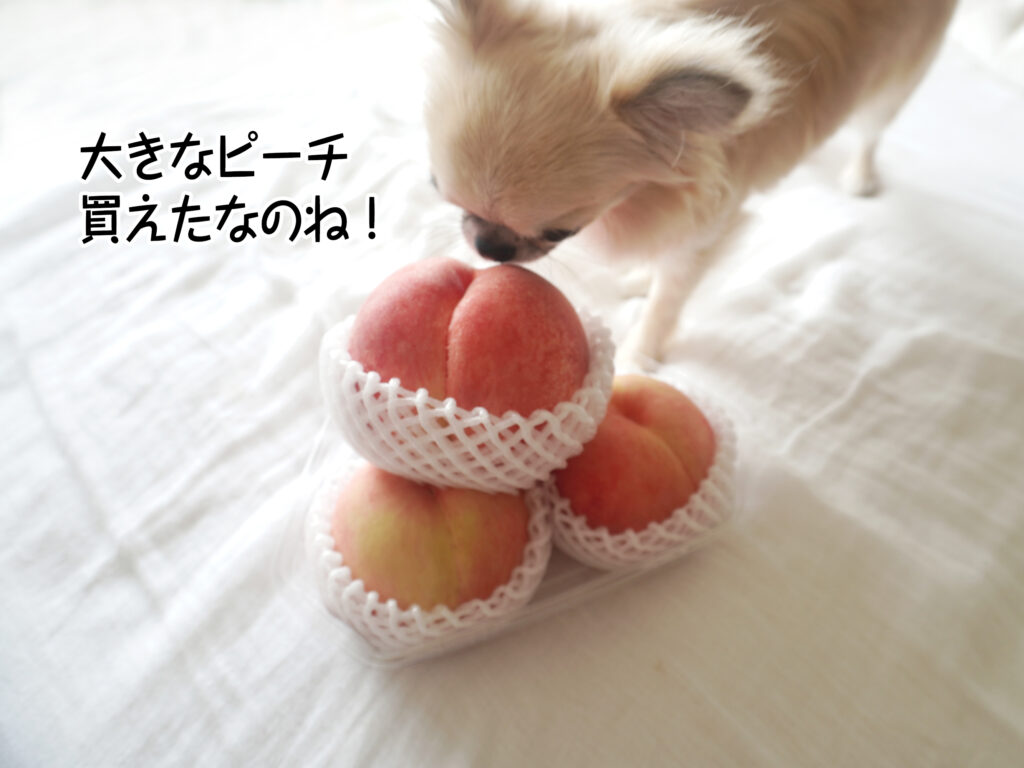 大きなピーチ買えたなのね！