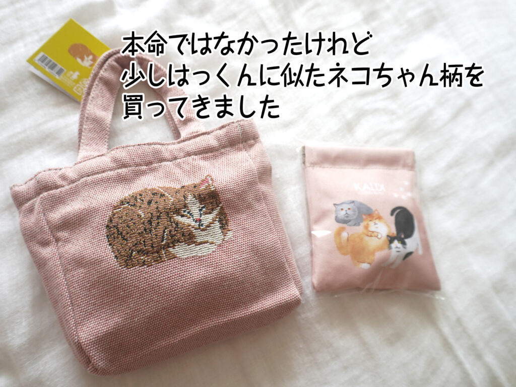 本命ではなかったけれど少しはっくんに似たネコちゃん柄を買ってきました