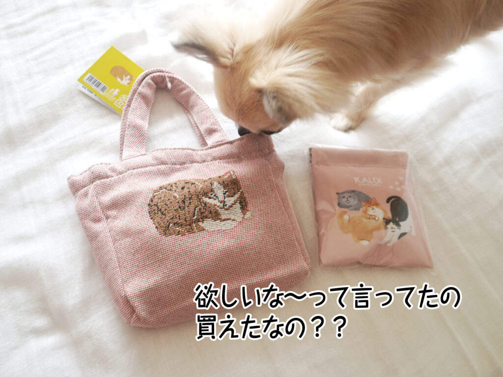 欲しいな～って言ってたの買えたなの？？