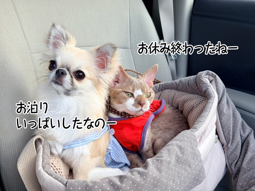 お休み終わったねー