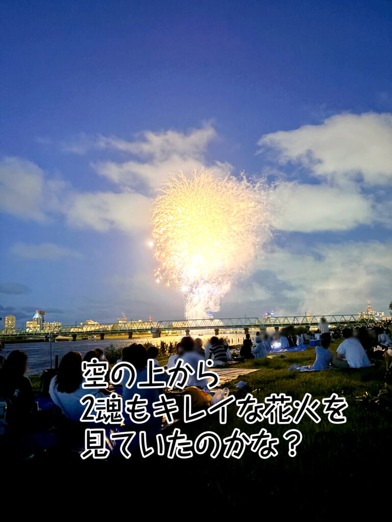 空の上から2魂もキレイな花火を見ていたのかな?