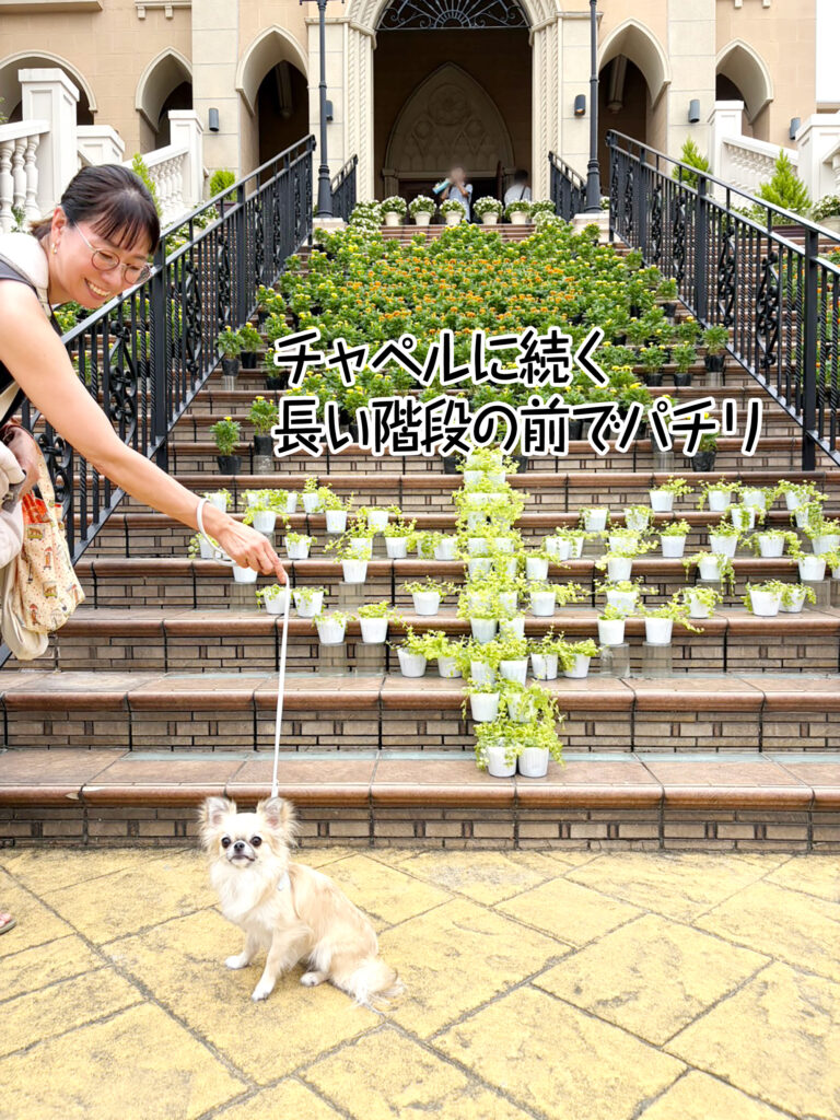 チャペルに続く長い階段の前でパチリ