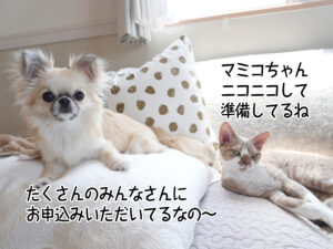 たくさんのみんなさんに お申込みいただいてるなの～