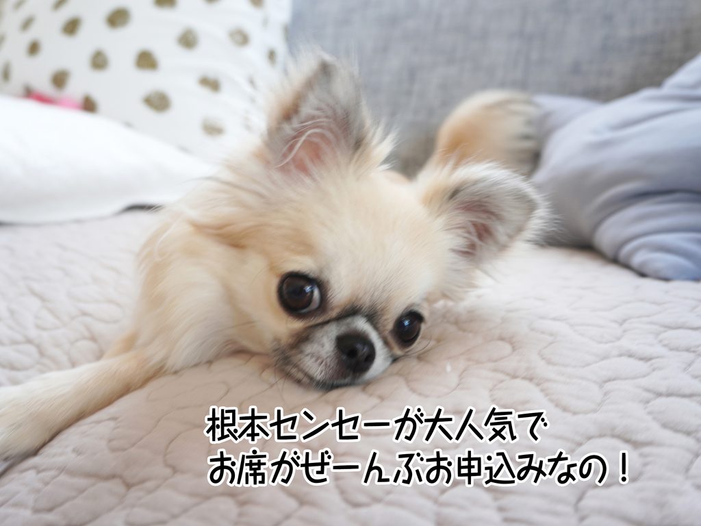 根本センセーが大人気でお席がぜーんぶお申込みなの！