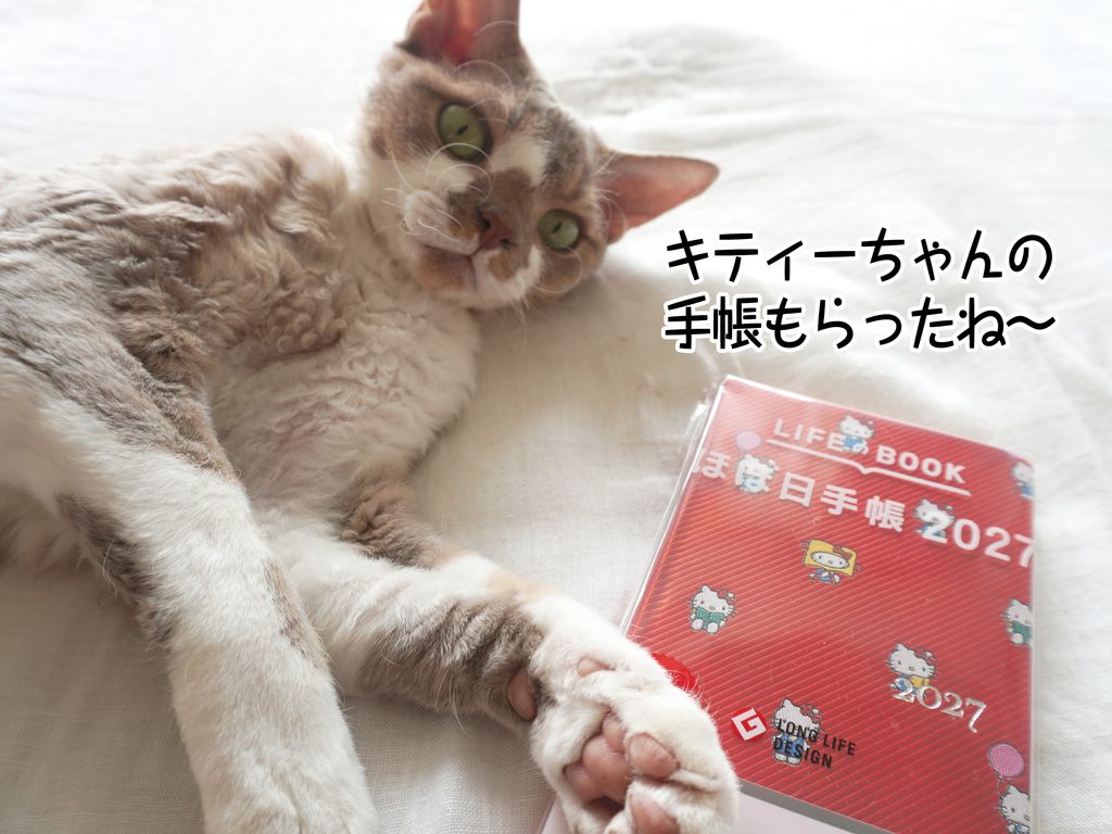 キティーちゃんの手帳もらったね~