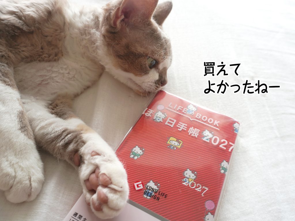 買えてよかったねー