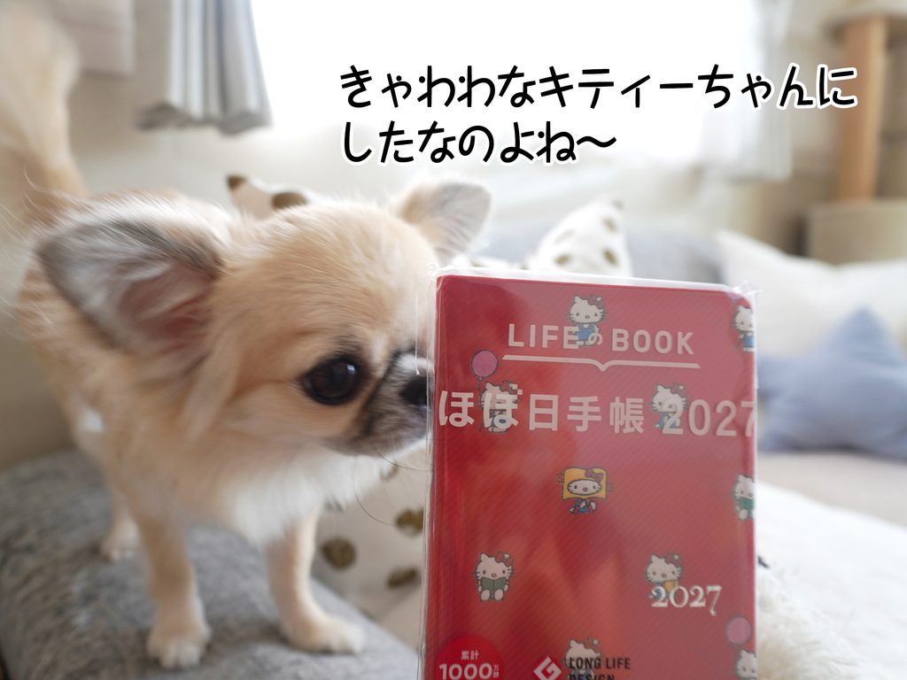 きゃわわなキティーちゃんにしたなのよね~