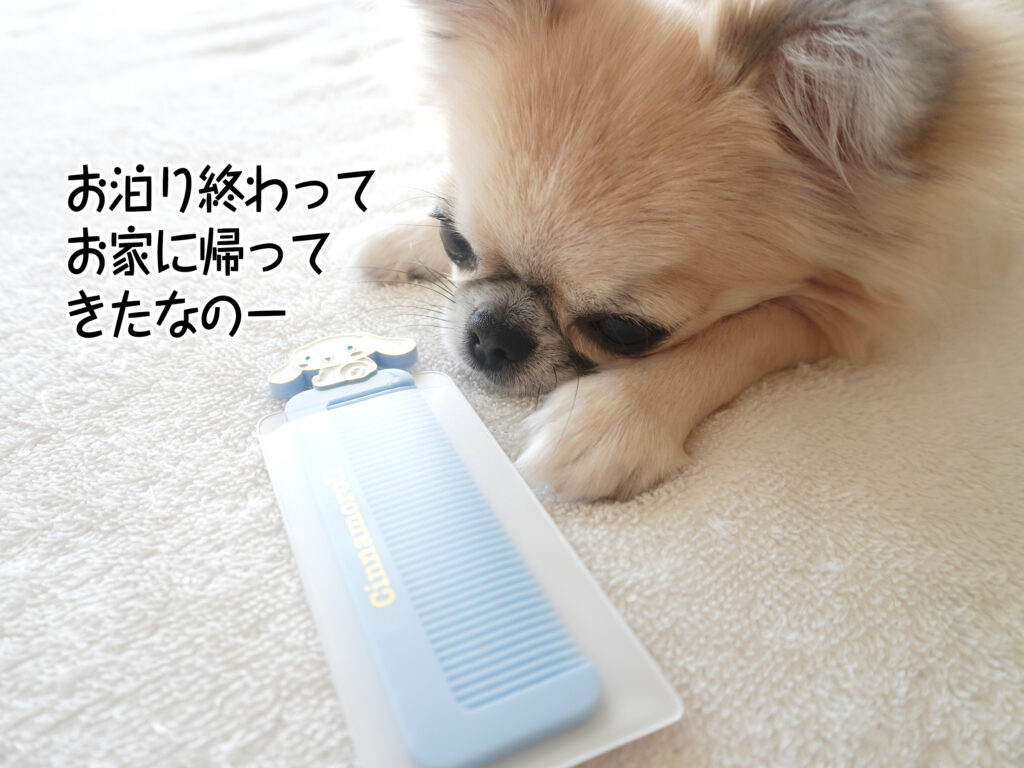 お泊り終わって お家に帰って きたなのー