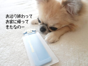 お泊り終わって お家に帰って きたなのー