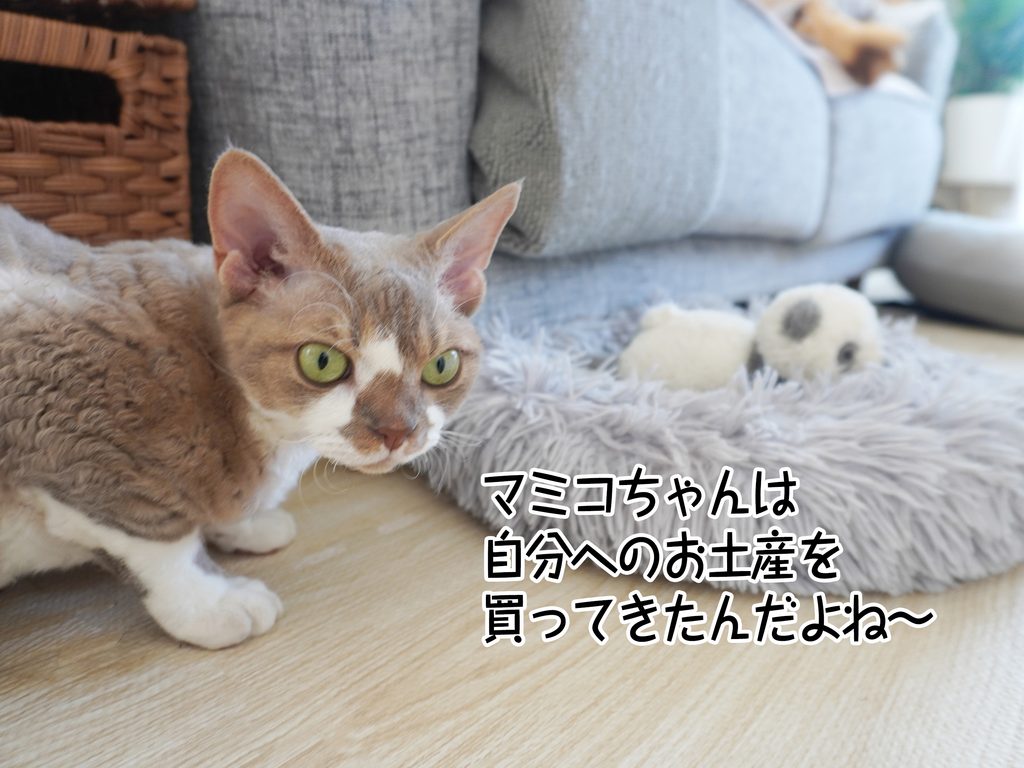 マミコちゃんは自分へのお土産を買ってきたんだよね～