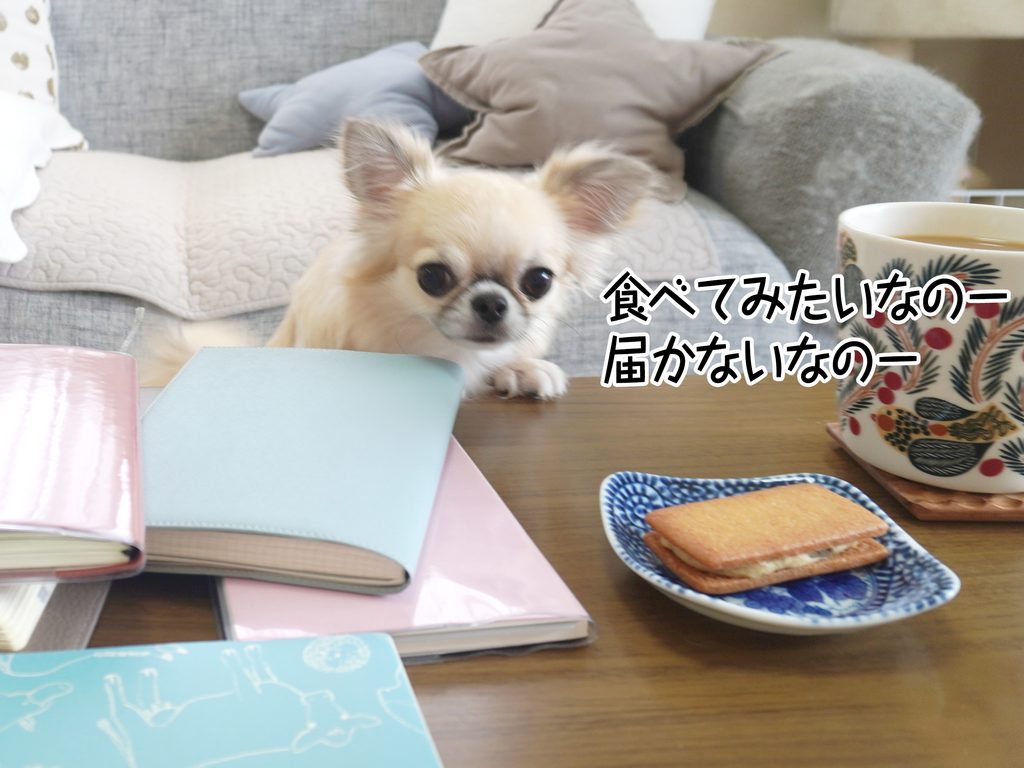 食べてみたいなのー届かないなのー