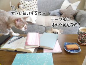 テーブルに オヤツ発見なの！