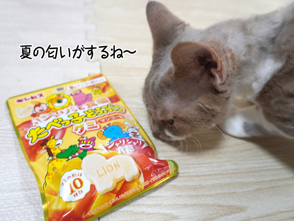 夏の匂いがするね～