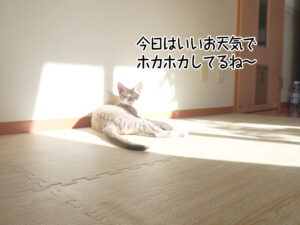 今日はいいお天気で ホカホカしてるね～