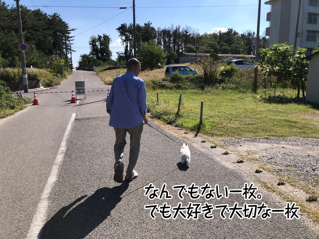 なんでもない一枚。でも大好きで大切な一枚