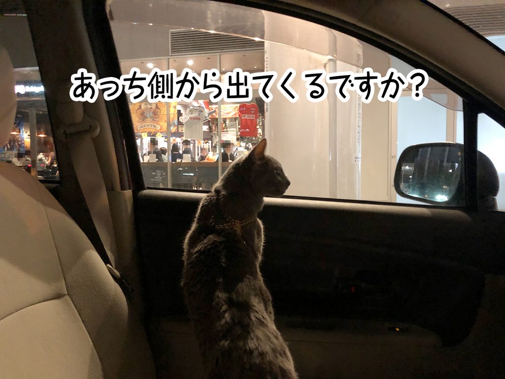 あっち側から出てくるですか？