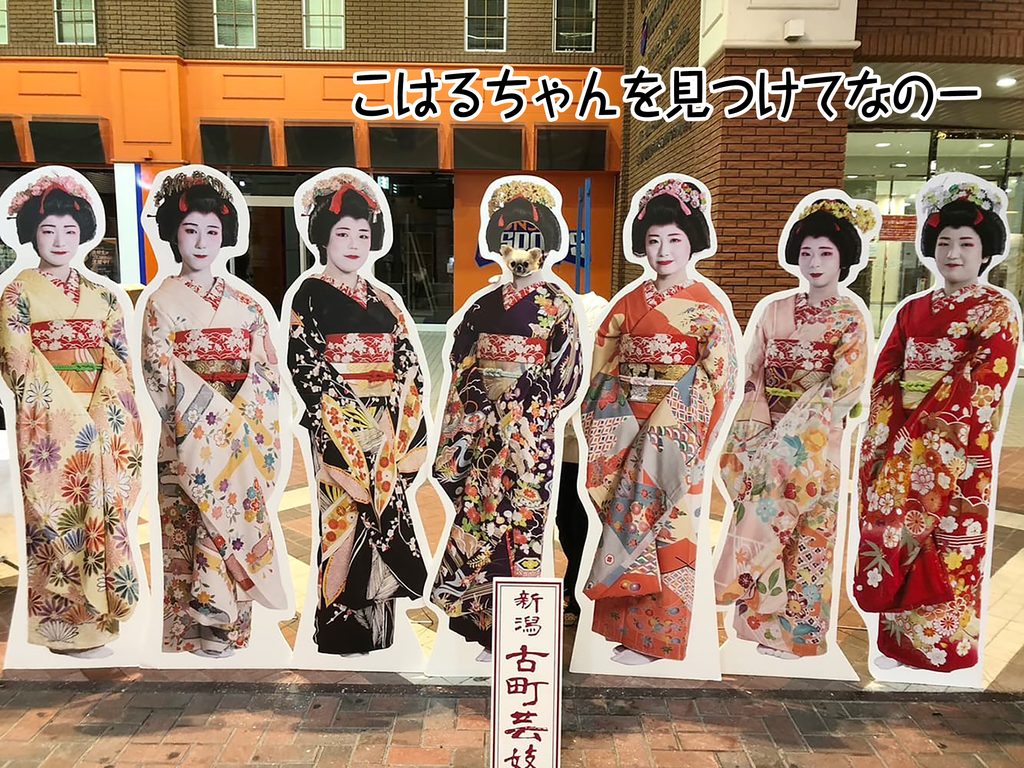 こはるちゃんを見つけてなのー
