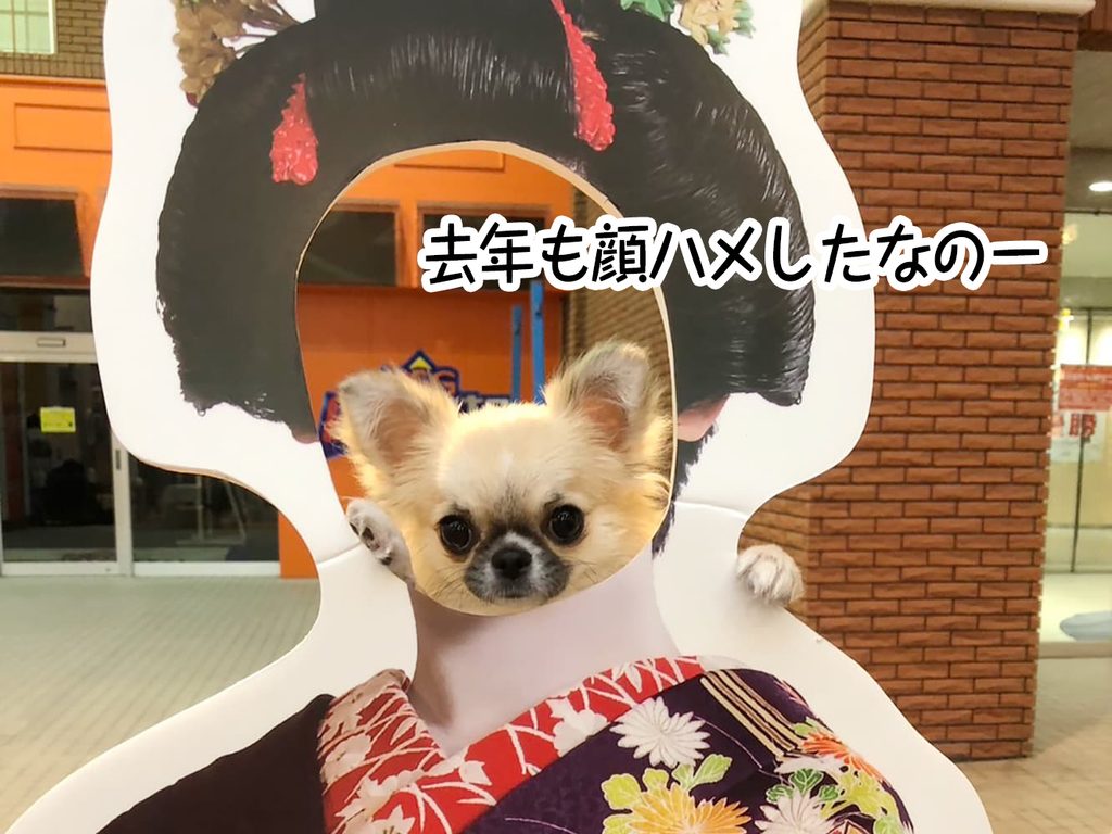 去年も顔ハメしたなのー