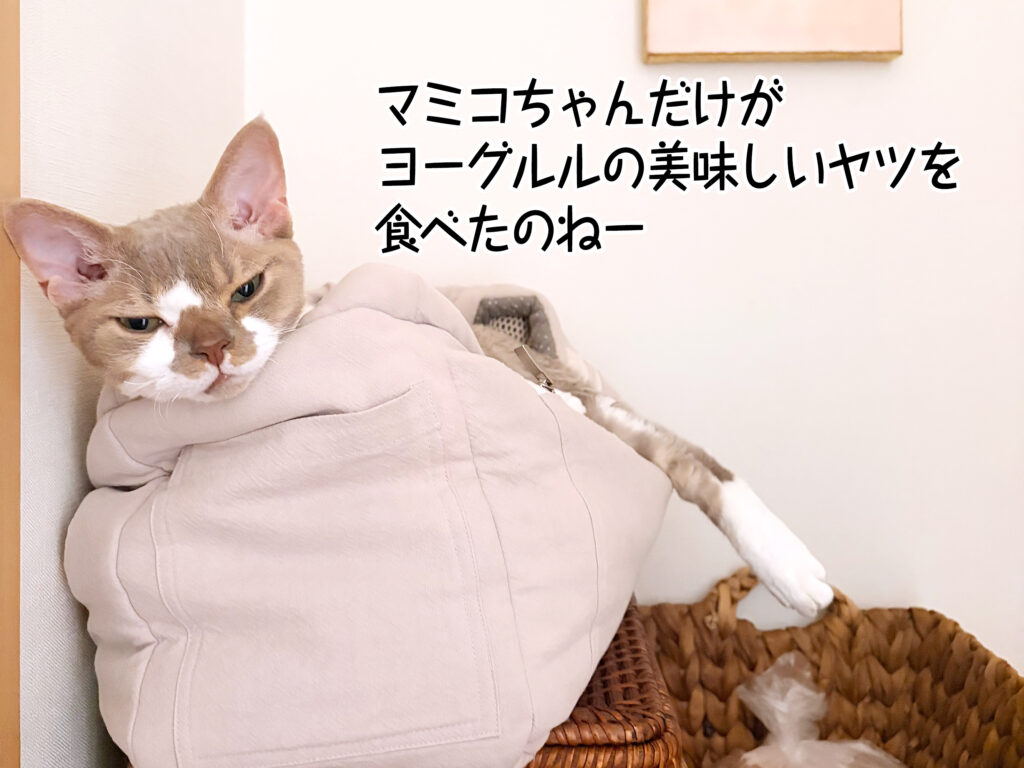 マミコちゃんだけが ヨーグルルの美味しいヤツを 食べたのねー