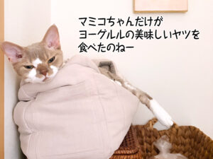 マミコちゃんだけが ヨーグルルの美味しいヤツを 食べたのねー