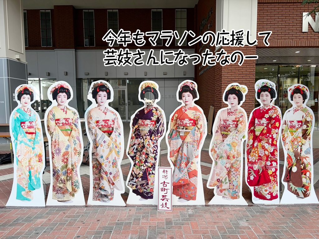 今年もマラソンの応援して芸妓さんになったなのー